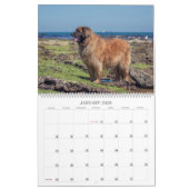 オズのレオス カレンダー (1月 2026)