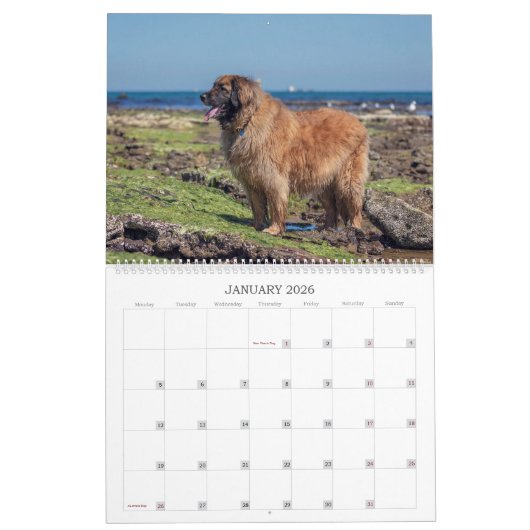 オズのレオス カレンダー (1月 2026)