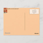 オズの魔法使い ポストカード (裏面)