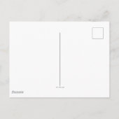 オズの魔法使い™ |邪悪な魔女 ポストカード (裏面)