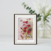 オズウィーゴーティー植物園のワイルドフラワー花のポストカード ポストカード (スタンド正面)