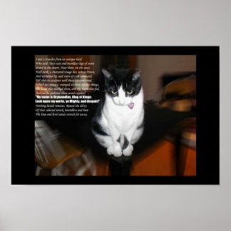 オズマディアス ポスター