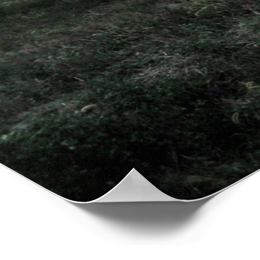 オズ魔法ダストのtouch ポスター (角)