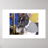 オズ ポスター (正面)