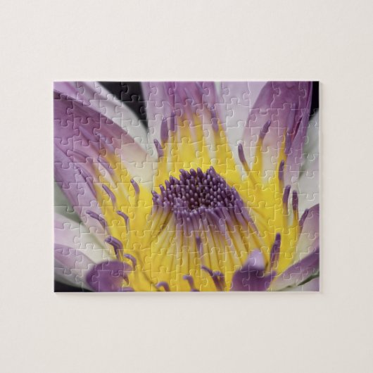 オセアニア、フィジー、パープルパナマパシフィカニンフェア ジグソーパズル (横)