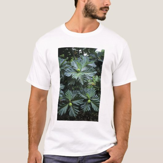 オセアニア, 南太平洋, フランス領ポリネシア, Tシャツ (正面)