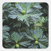 オセアニア,南太平洋,ポリネシアフランスの, スクエアシール (正面)