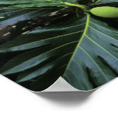 オセアニア，南太平洋，ポリネシアフランスの, ポスター (角)