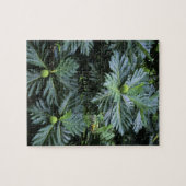 オセアニア、南太平洋、ポリネフランスのシア、 ジグソーパズル (横)