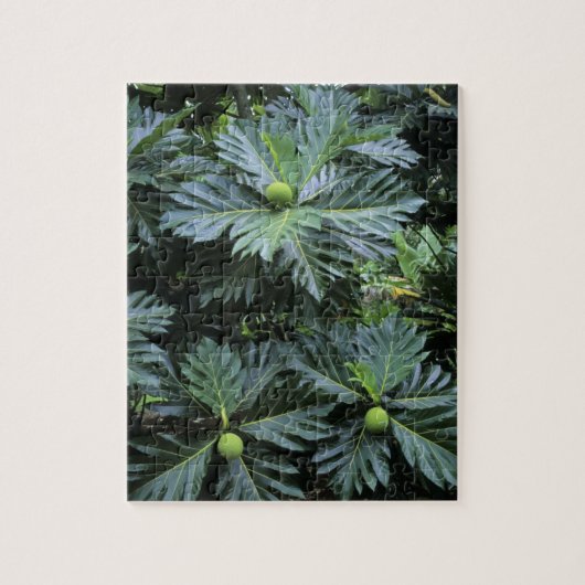 オセアニア、南太平洋、ポリネフランスのシア、 ジグソーパズル (縦)