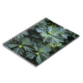 オセアニア、南太平洋、ポリネフランスのシア、 ノートブック (左側)