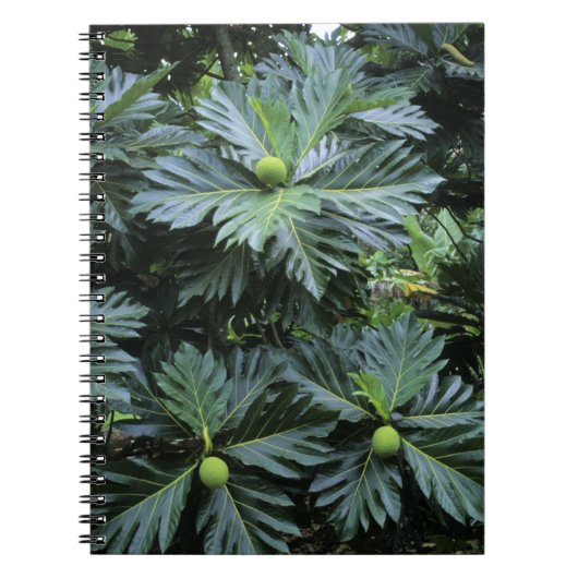 オセアニア、南太平洋、ポリネフランスのシア、 ノートブック (正面)