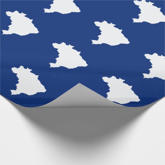 オセアニックブルーフェスティバルブラジルEmporio Moffa ラッピングペーパー (角)