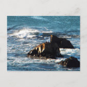 オセアーノビーチとRocks Californiaはがき ポストカード (正面)