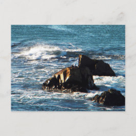 オセアーノビーチ ポストカード