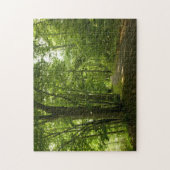 オセオラアイランド,ワイア – ダムブリストルTNパズル ジグソーパズル (縦)