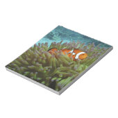 オセラリスカクレクマノミ (Amphiprion ocellaris) ノートパッド (回転)
