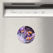 オセラリスピエノフィッシュ |オケラリス マグネット (インサイチュ (食洗機))