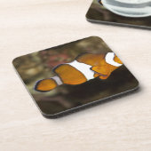 オセラリスピエロ コースター (左側)