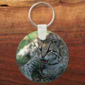 オセロットが横たわる キーホルダー (正面)