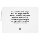 オセロットポートレート (裏面横)