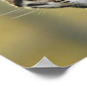 オセロットポートレート ポスター (角)