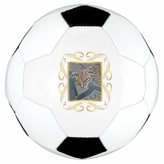 オセロット枠 サッカーボール (正面)