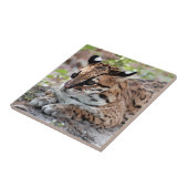 オセロット02 9x9 タイル (側面)