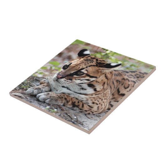 オセロット02 9x9 タイル (側面)