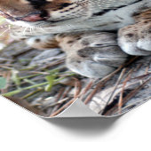 オセロット02 9x9 ポスター (角)