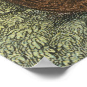 オセロット ポスター (角)