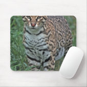 オセロット（Leopardus pardalis）中央アメリカ マウスパッド (マウス)