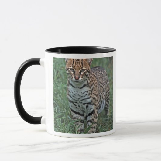 オセロット（Leopardus pardalis）中央アメリカ マグカップ (左)