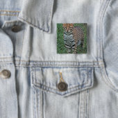 オセロット（Leopardus pardalis）中央アメリカ 缶バッジ (インサイチュ)