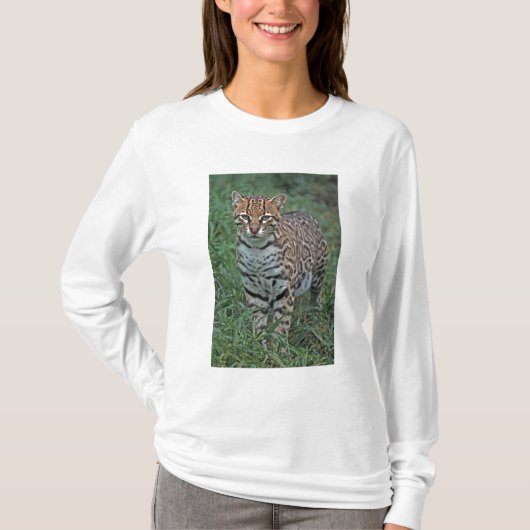 オセロット(Leopardus pardalis)中央アメリカ Tシャツ (正面)