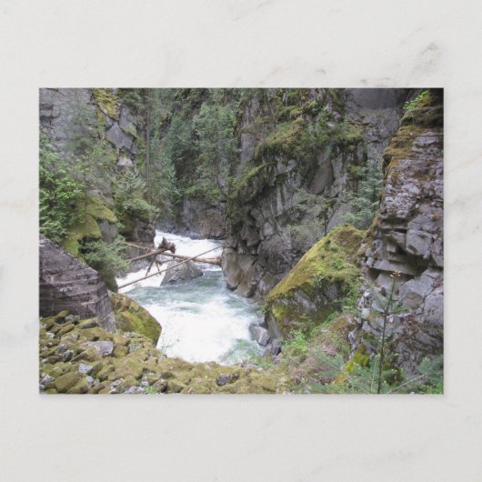 オセロトンネルはがき ポストカード (正面)