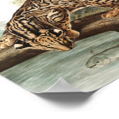 オセロレオパード猫（フェリスパルダリス）イラストレーション ポスター (角)