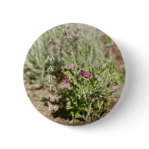 オタイマウンテンロータス