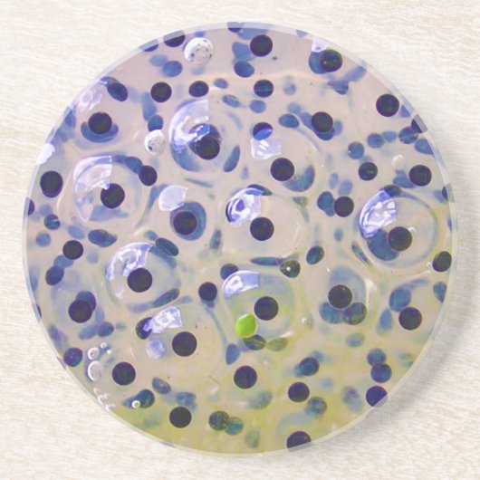 オタマジャクシがあるためにFrogspawnの卵のすぐに閉めて下さい コースター (正面)