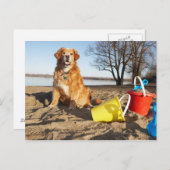 オタワのビーチで犬を飼っているポートレート。 ポストカード (正面/裏面)