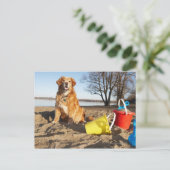 オタワのビーチで犬を飼っているポートレート。 ポストカード (スタンド正面)