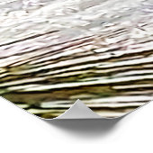 オタワの松の枝と雪。買今 ポスター (角)