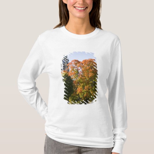 オタワの議会建物のそばの公園 Tシャツ (正面)