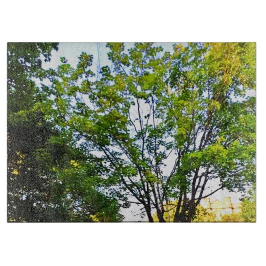 オタワ公園の木々。買今 カッティングボード (正面)