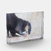 オターキお洒落ー フォトブロック (左)