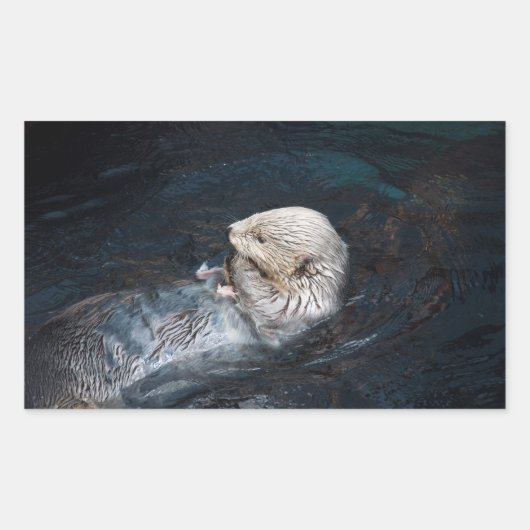 オター食べ物の水動物自然水中競技野生動物園 長方形シール (正面)