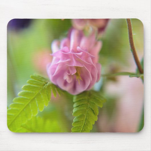 オダマキの花 マウスパッド (正面)