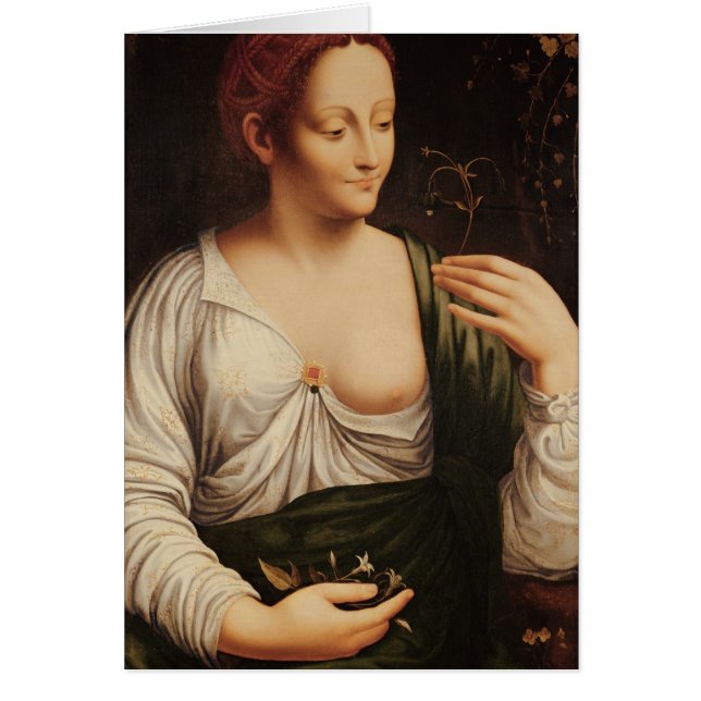 オダマキ（植物） (正面)