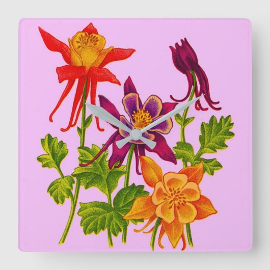 オダマキ(植物)の花 スクエア壁時計 (正面)