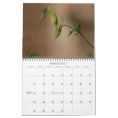 オダマキ（植物） カレンダー (3月 2027)